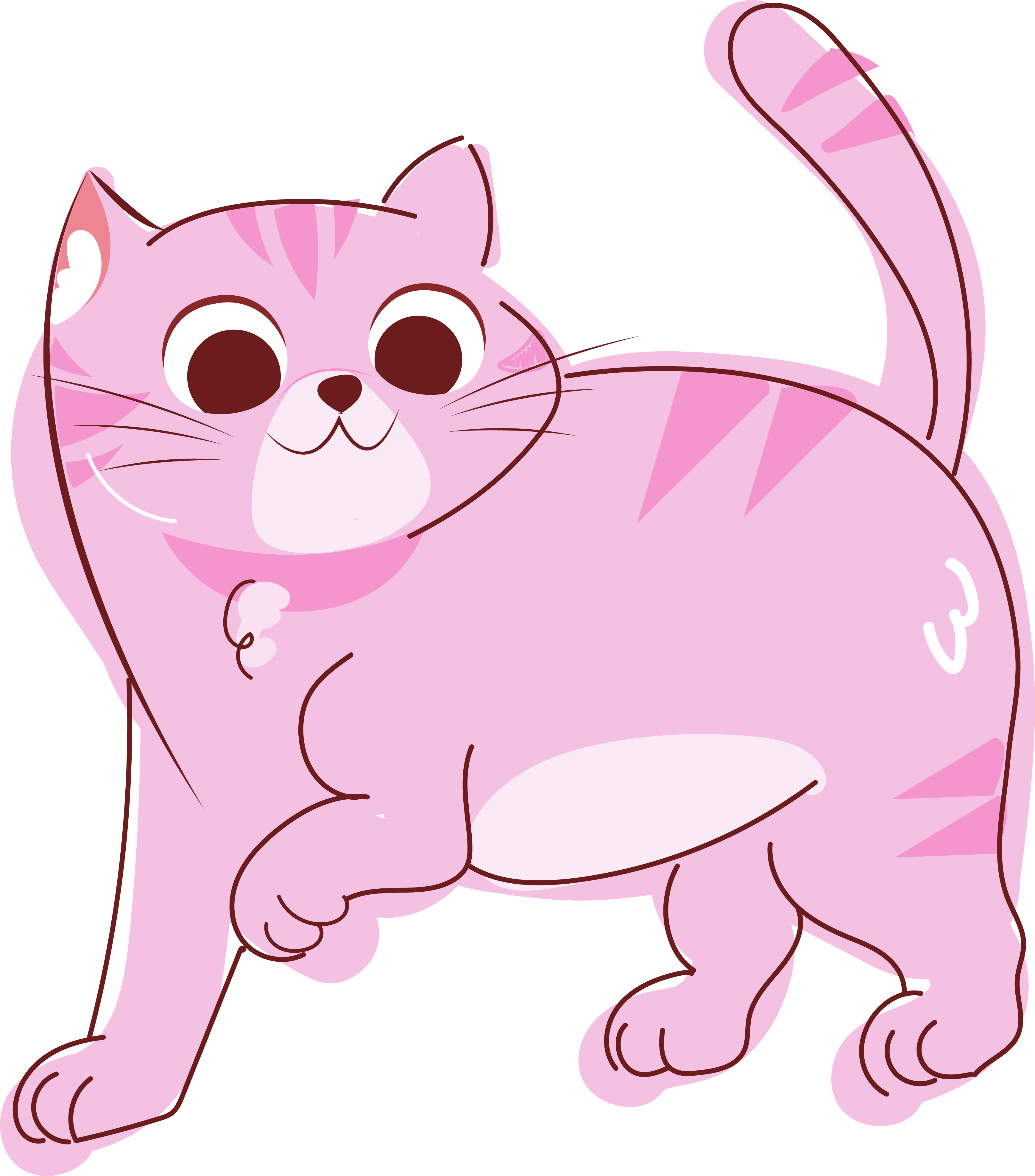 Gato con plan de alimentación personalizado