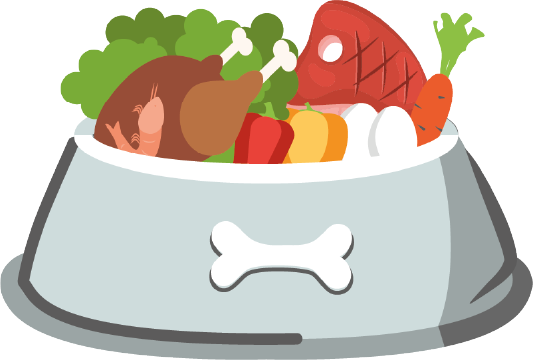 Nutrición funcional